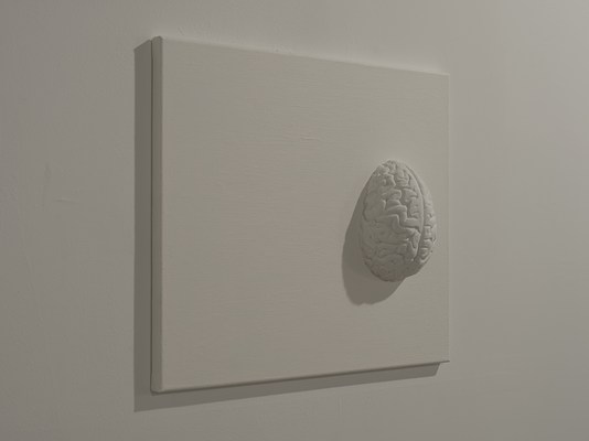 Image 12 of 17