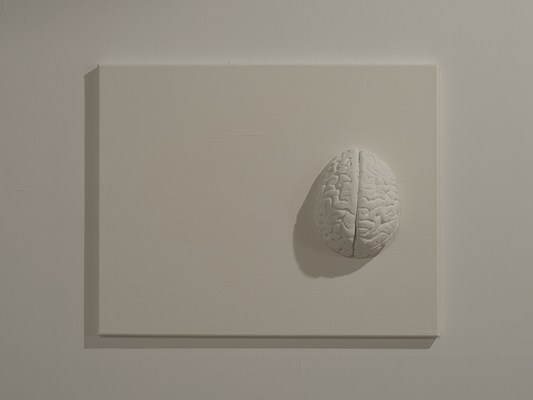 Image 11 of 17