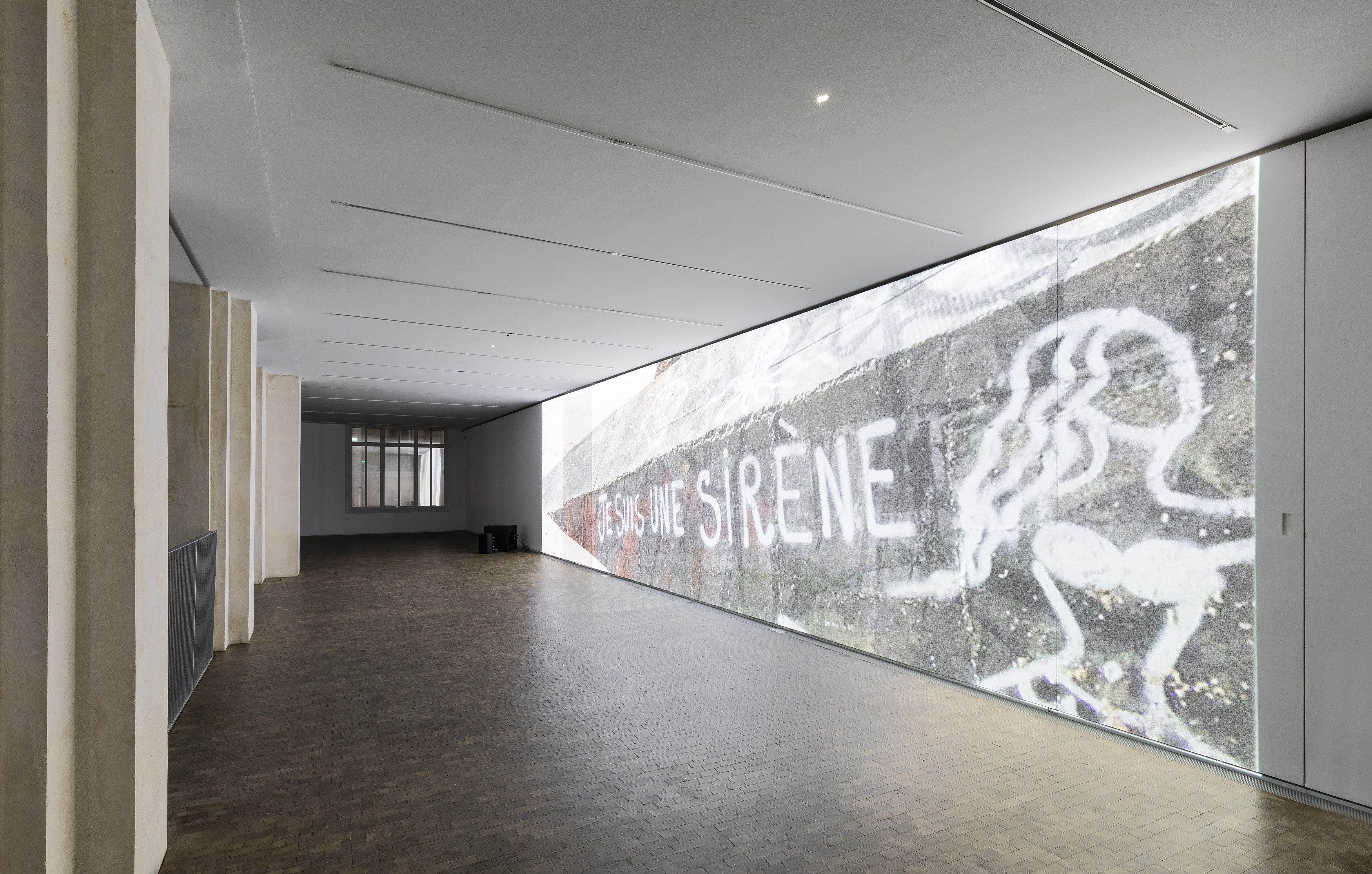 Lutz Bacher, The Silence of the Sea at Lafayette Anticipations, photo 18