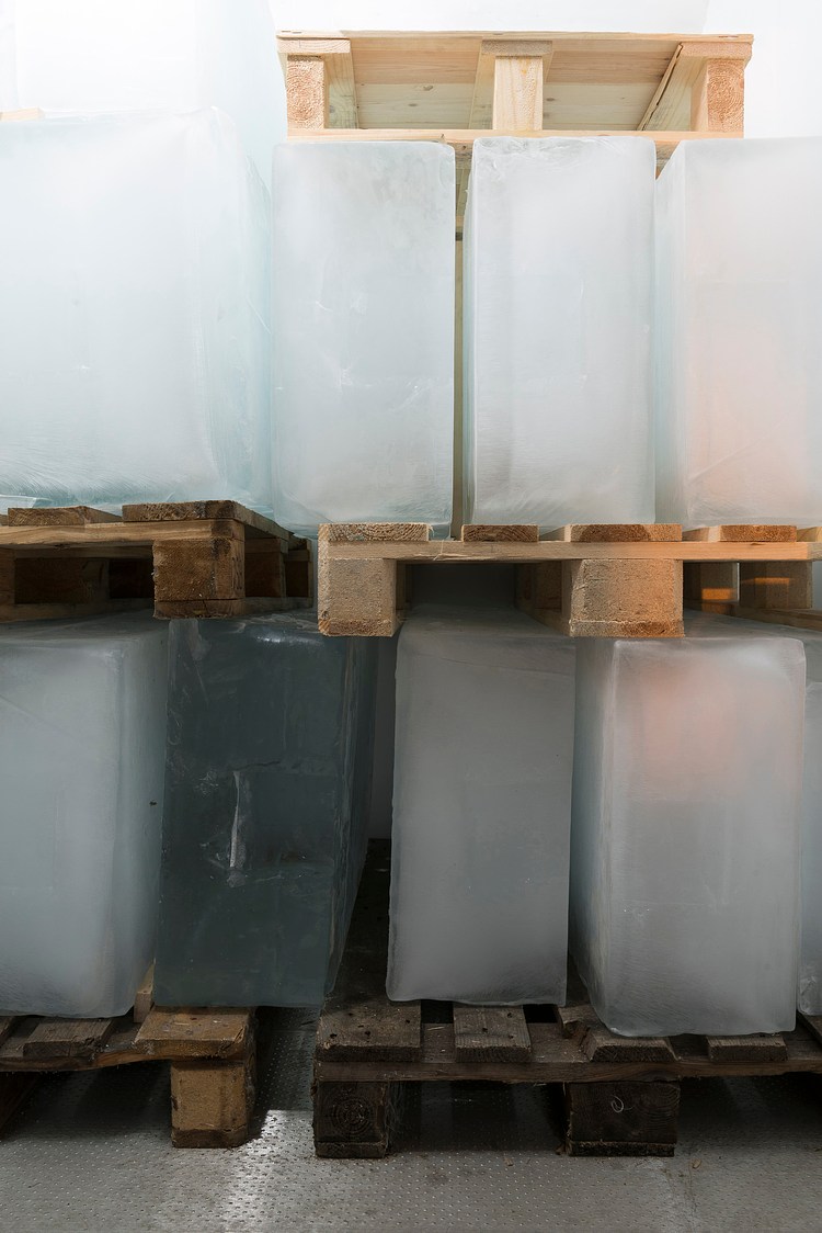 Mandla Reuter at Kunstverein Braunschweig Contemporary Art Library