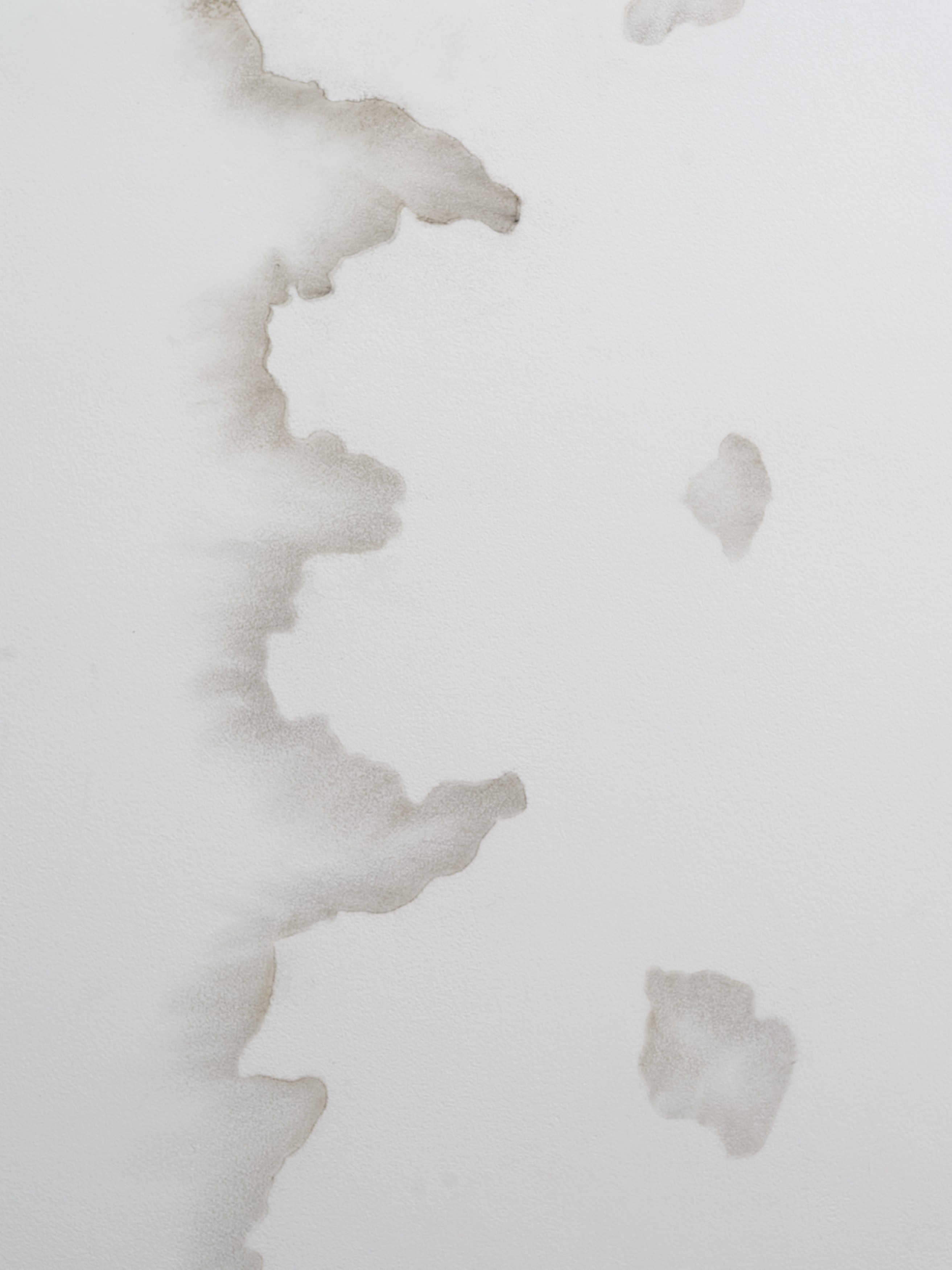 Graham Wiebe, Mote at Vernal, Utah, photo 7