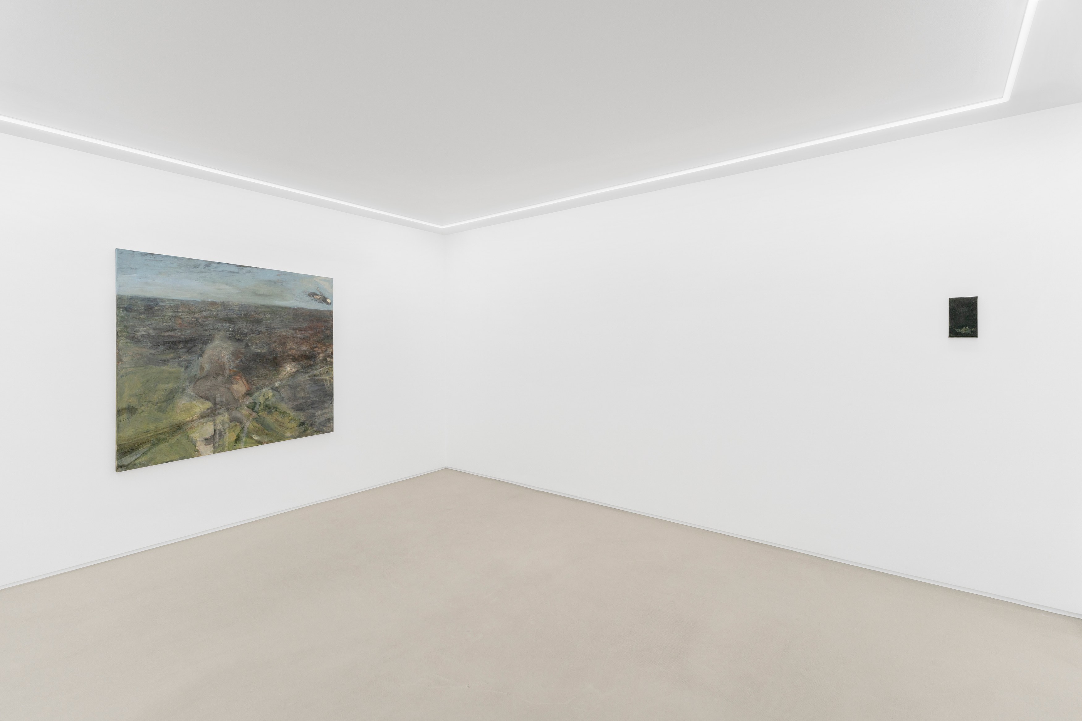 Carlotta Amanzi, Dorsale at Lo Brutto Stahl, photo 7