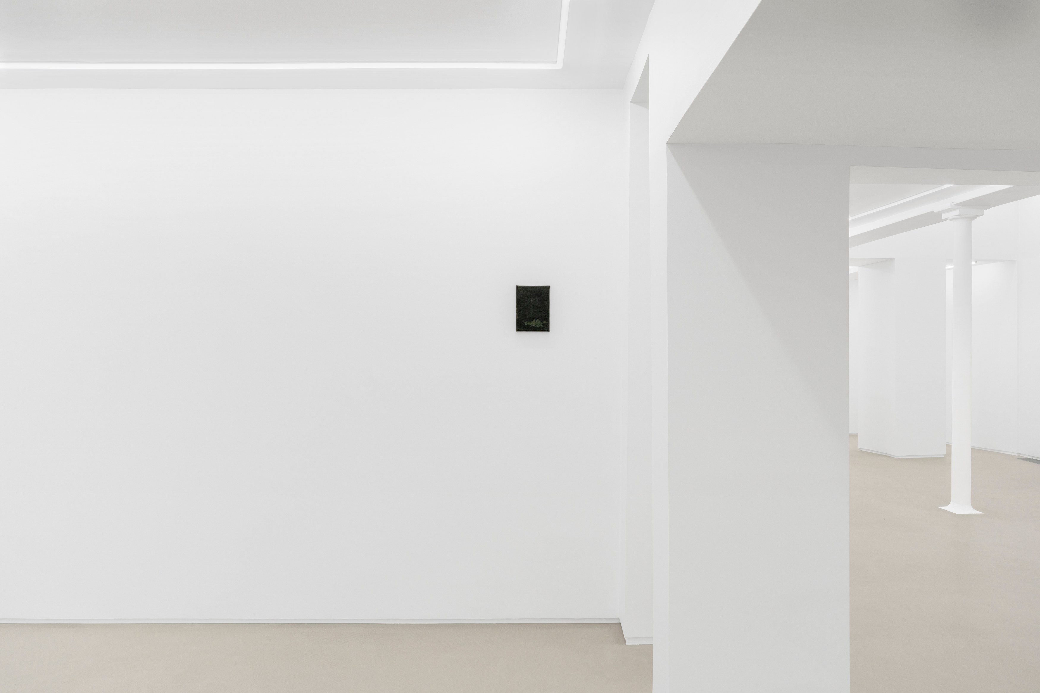 Carlotta Amanzi, Dorsale at Lo Brutto Stahl, photo 6