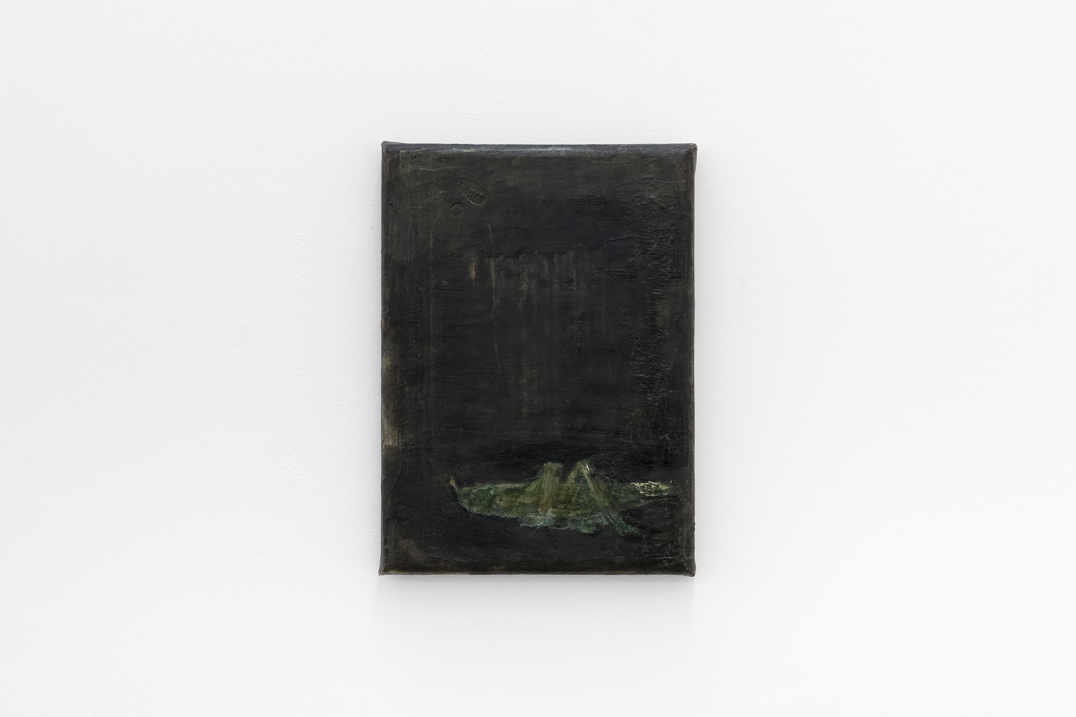 Carlotta Amanzi, Dorsale at Lo Brutto Stahl, photo 31