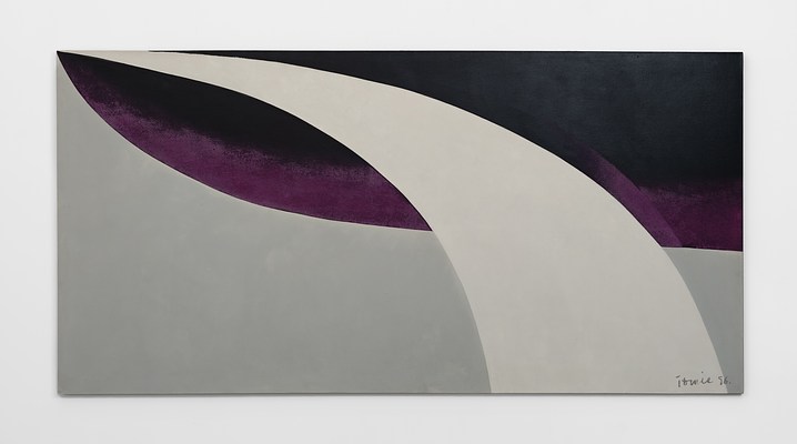 Tomie Ohtake | Contemporary Art Library