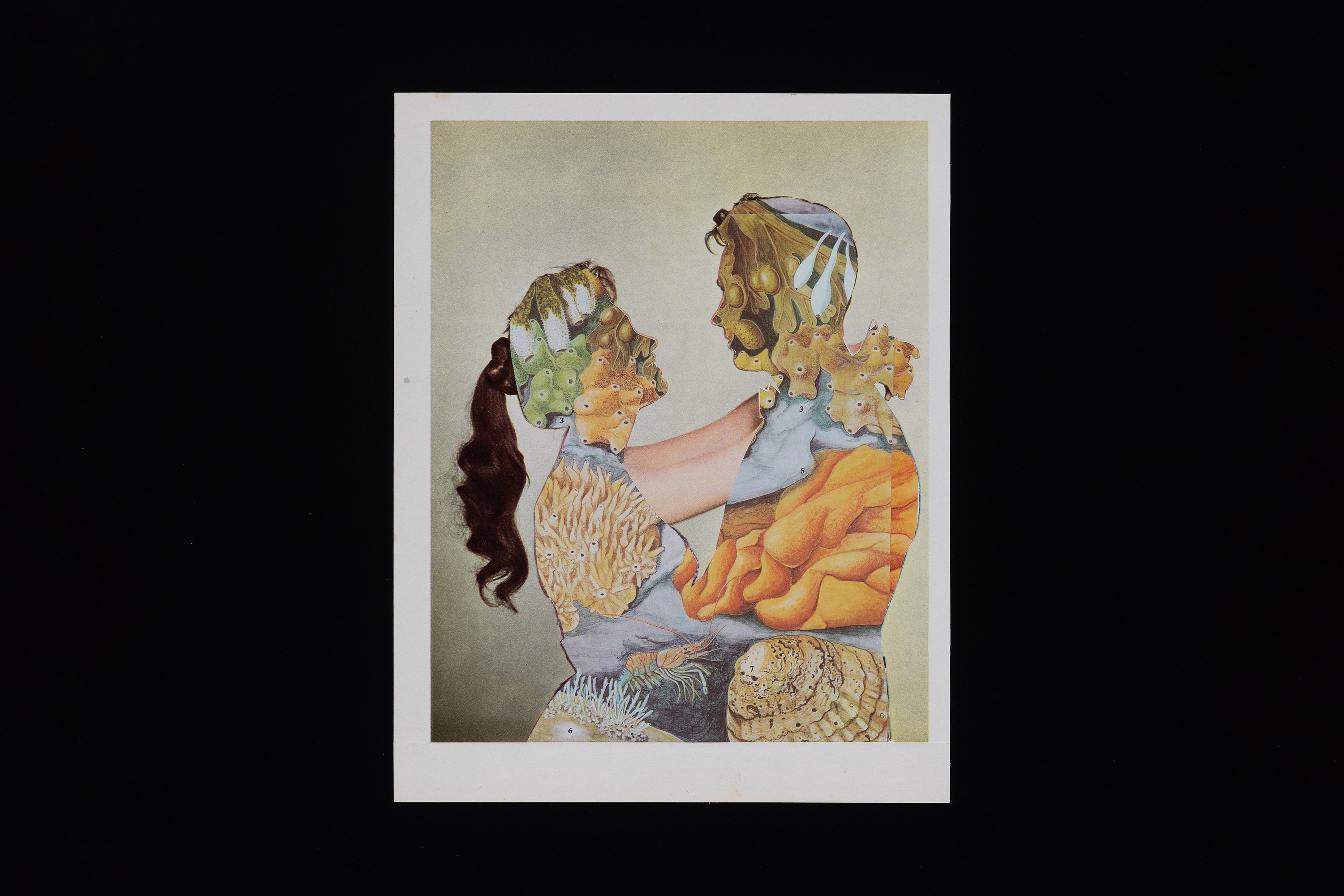 John Stezaker, Spell at The Approach, photo 39