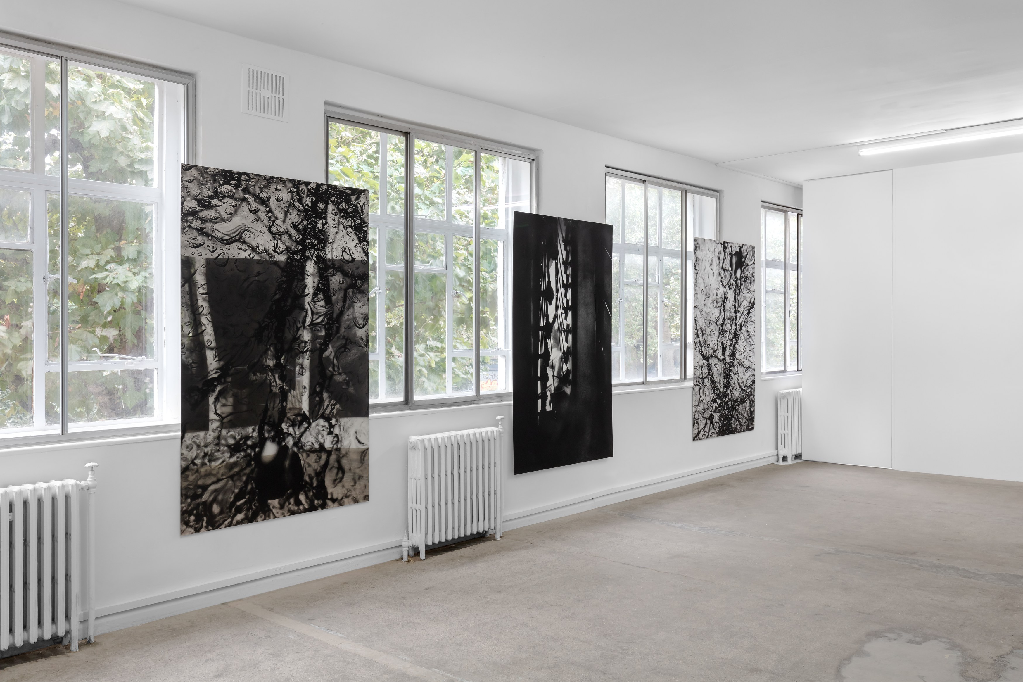 Olu Ogunnaike, Is the soil right? at Rose Easton, photo 2
