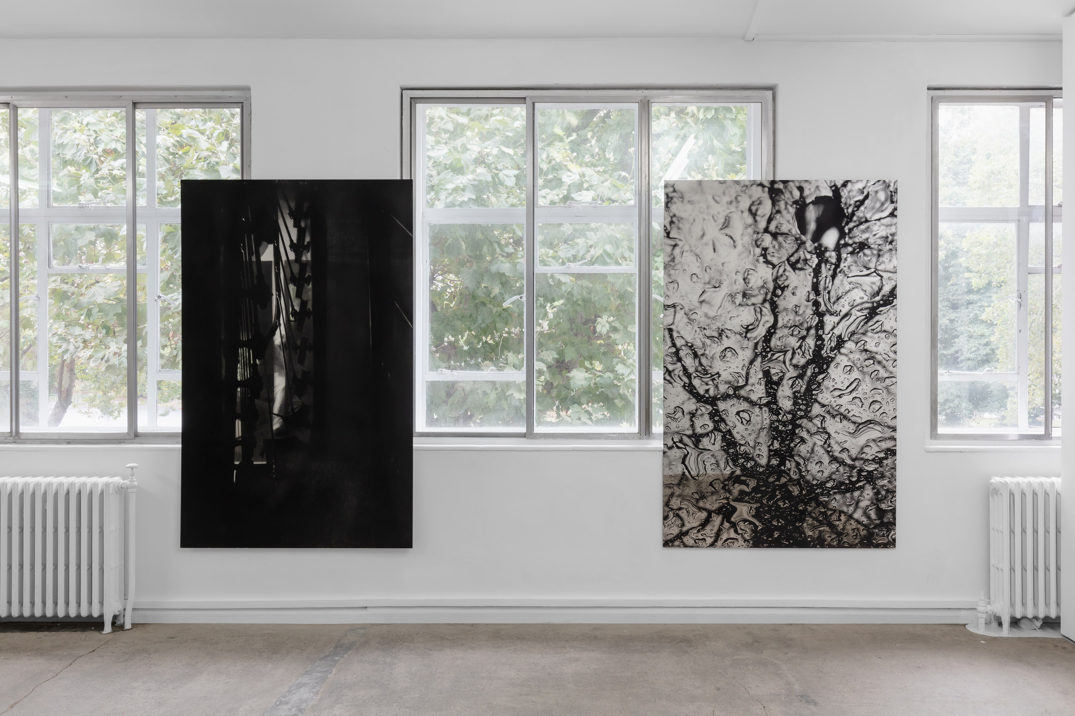 Olu Ogunnaike, Is the soil right? at Rose Easton, photo 11