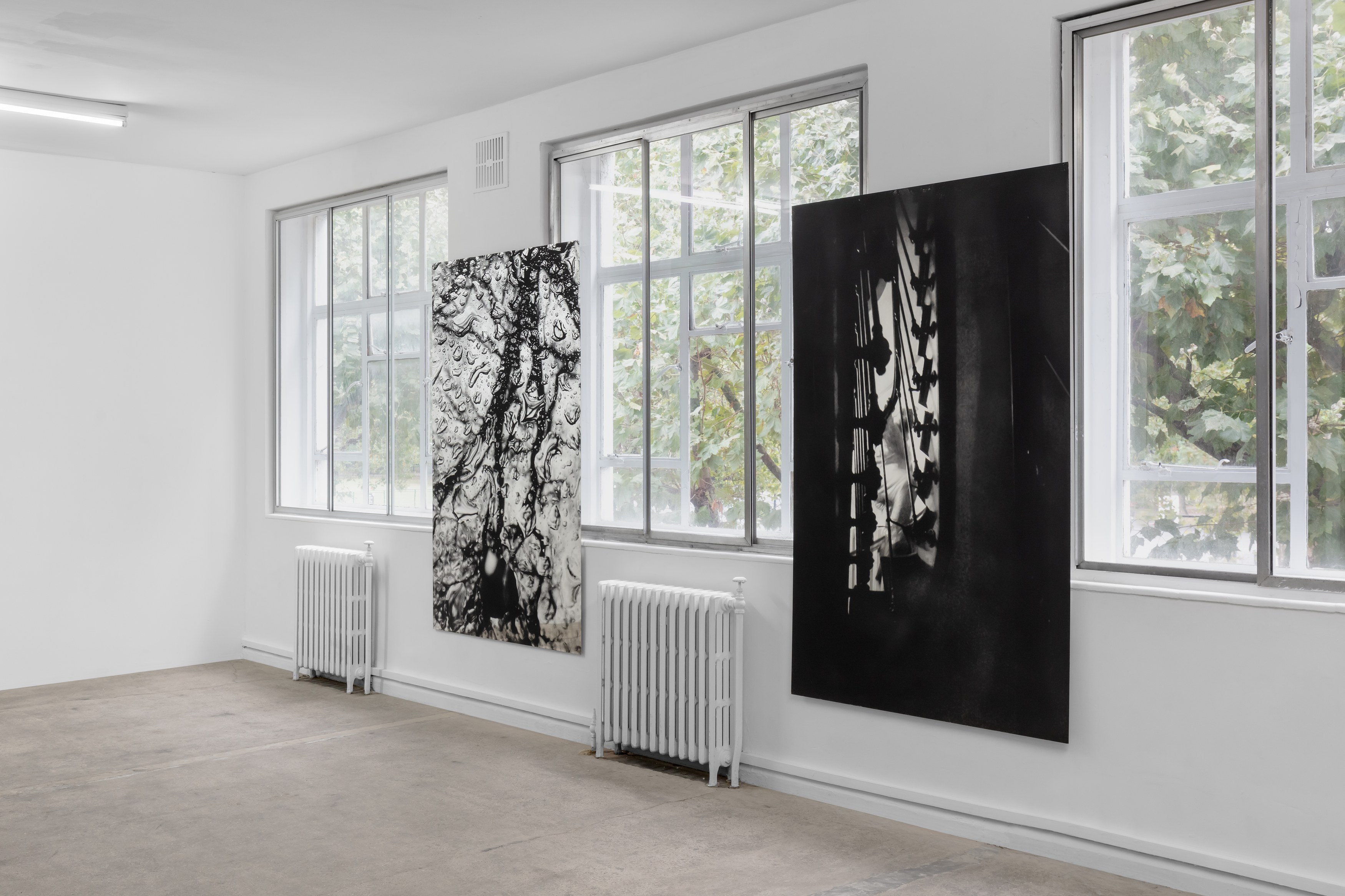 Olu Ogunnaike, Is the soil right? at Rose Easton, photo 10