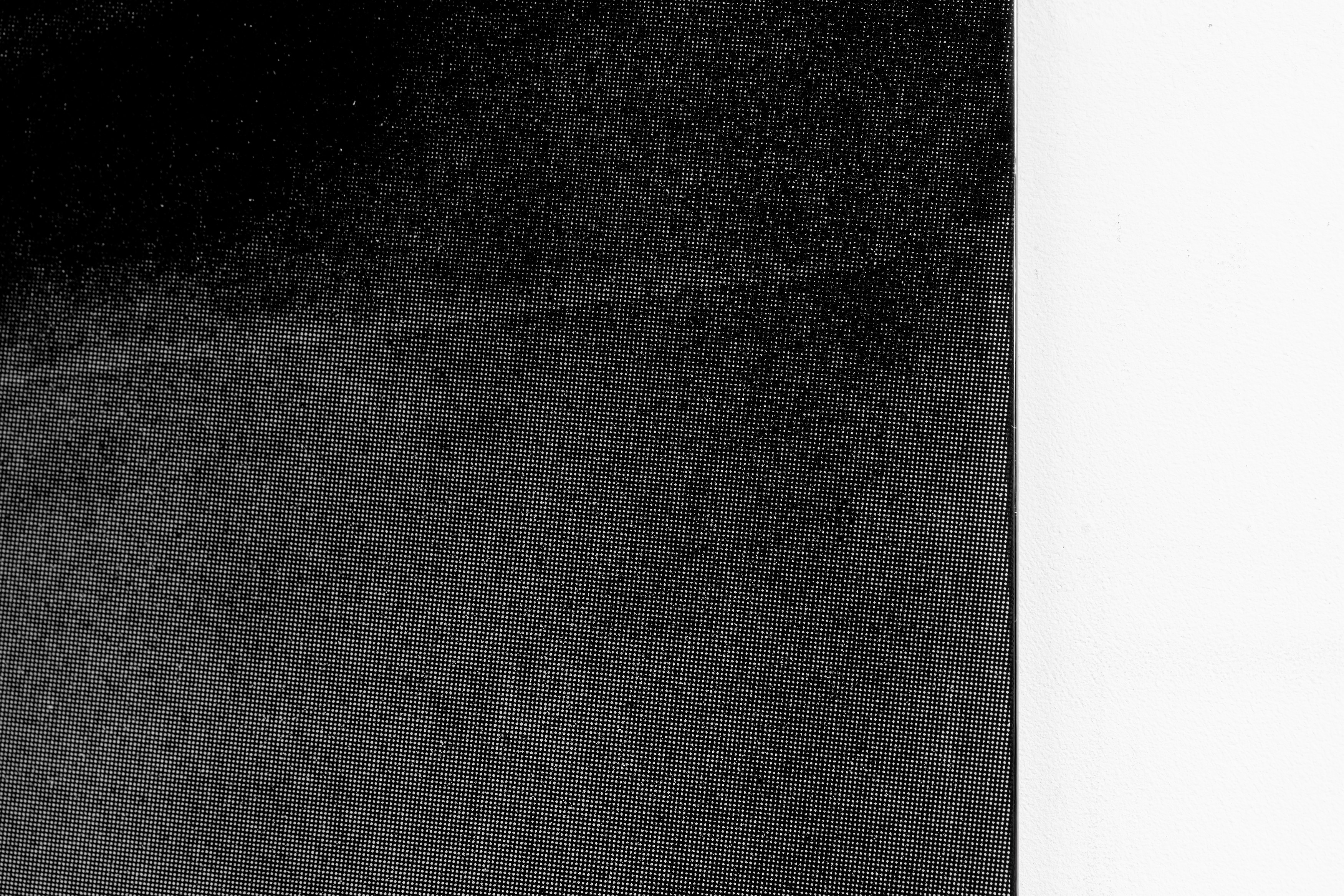 Olu Ogunnaike, Is the soil right? at Rose Easton, photo 19