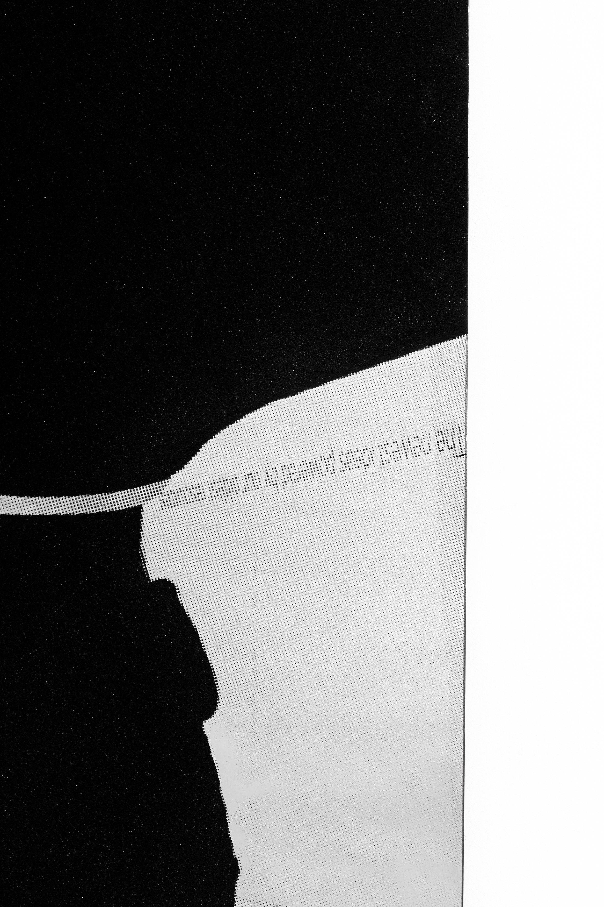 Olu Ogunnaike, Is the soil right? at Rose Easton, photo 29