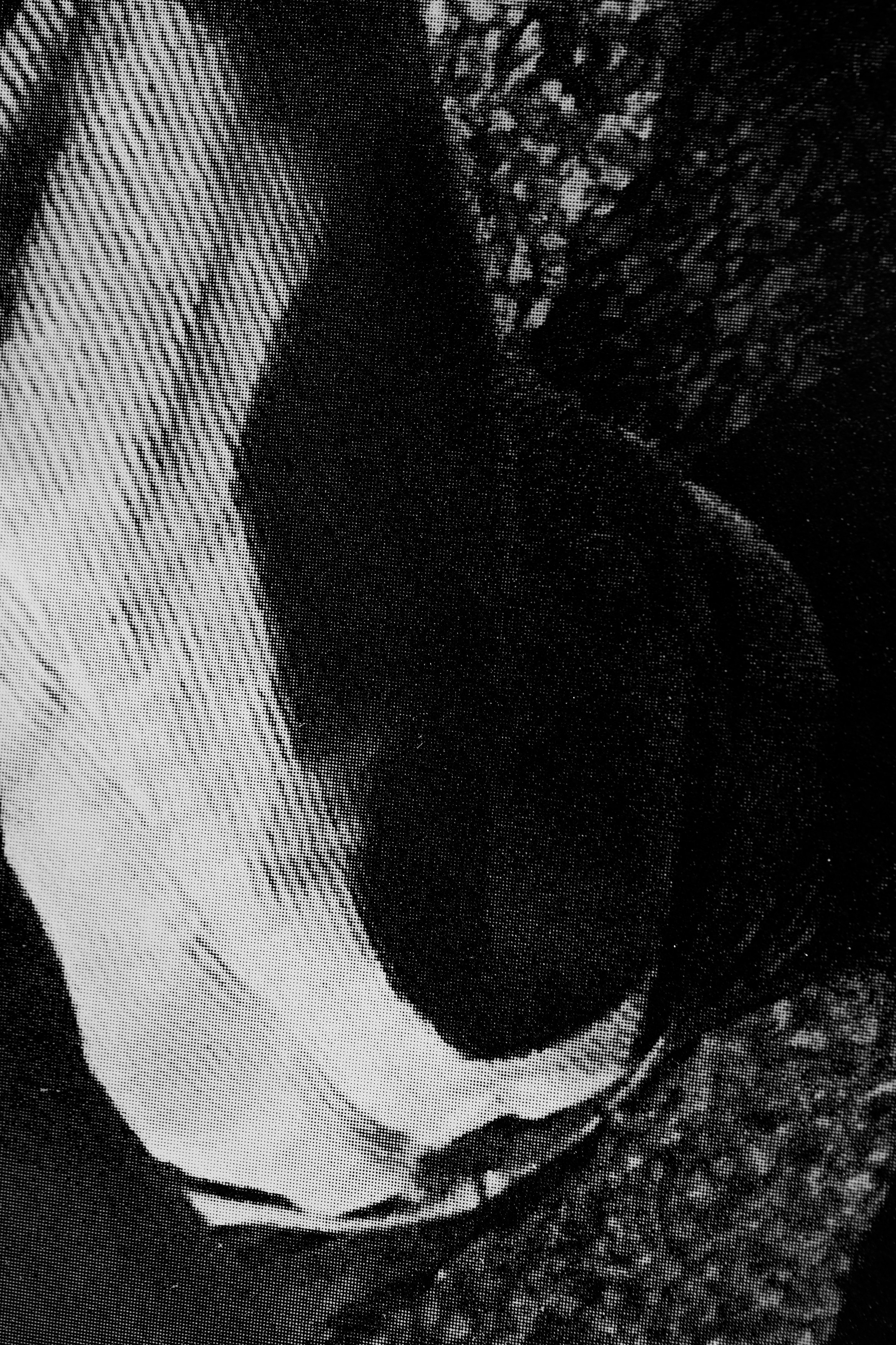 Olu Ogunnaike, Is the soil right? at Rose Easton, photo 38