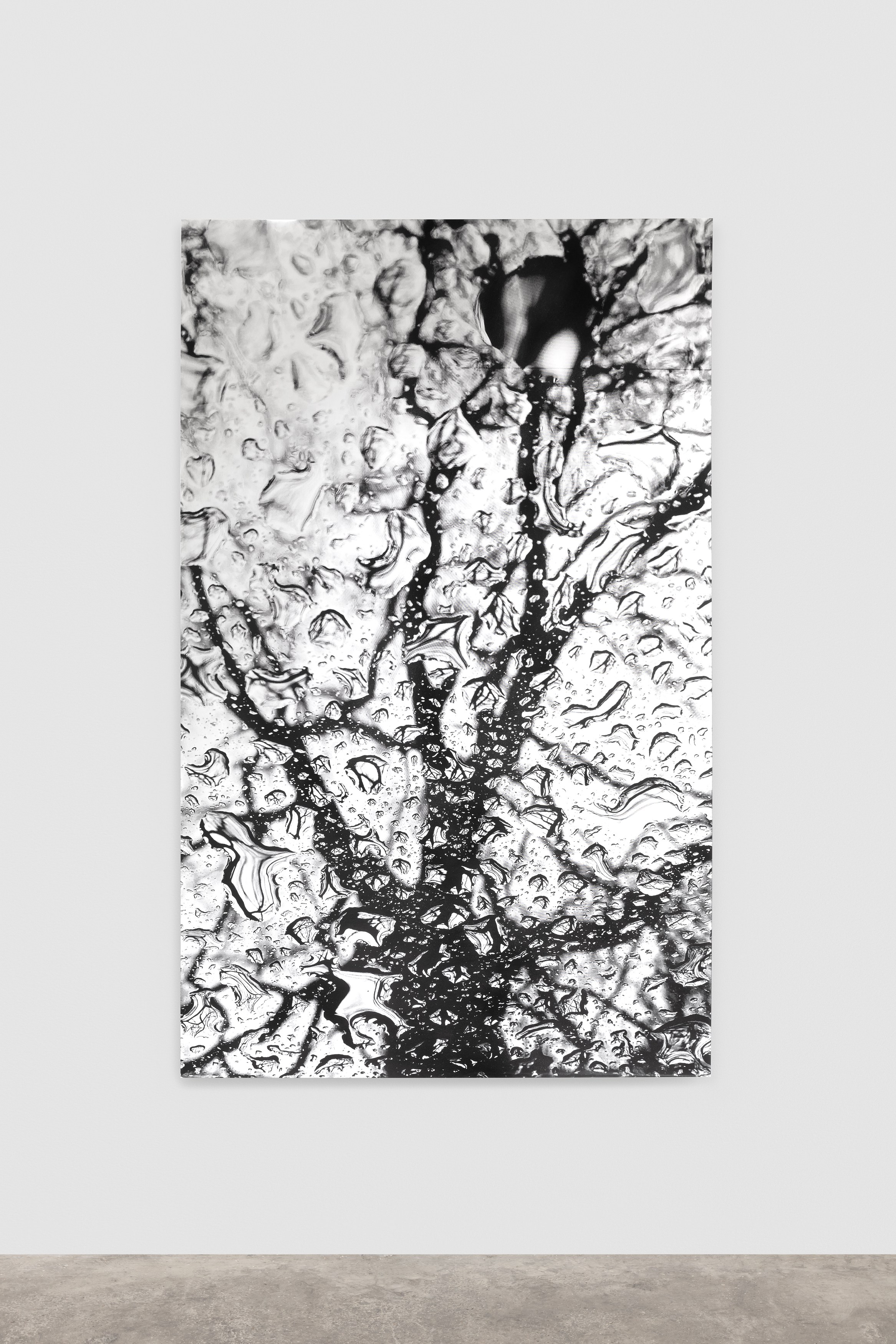 Olu Ogunnaike, Is the soil right? at Rose Easton, photo 78