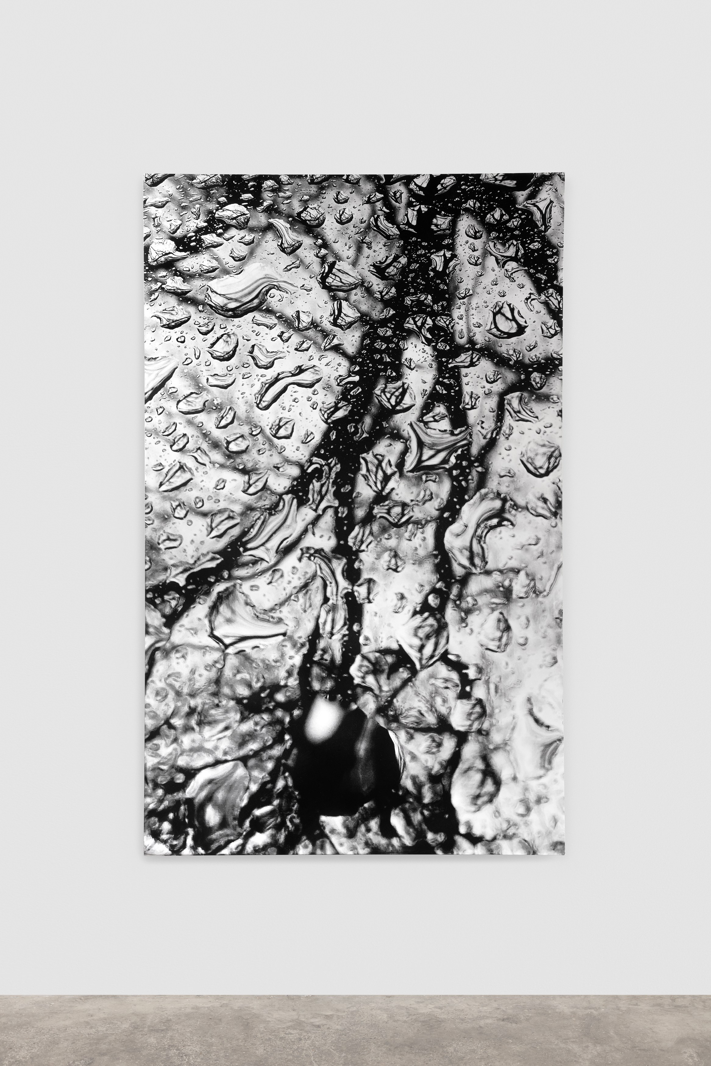 Olu Ogunnaike, Is the soil right? at Rose Easton, photo 80