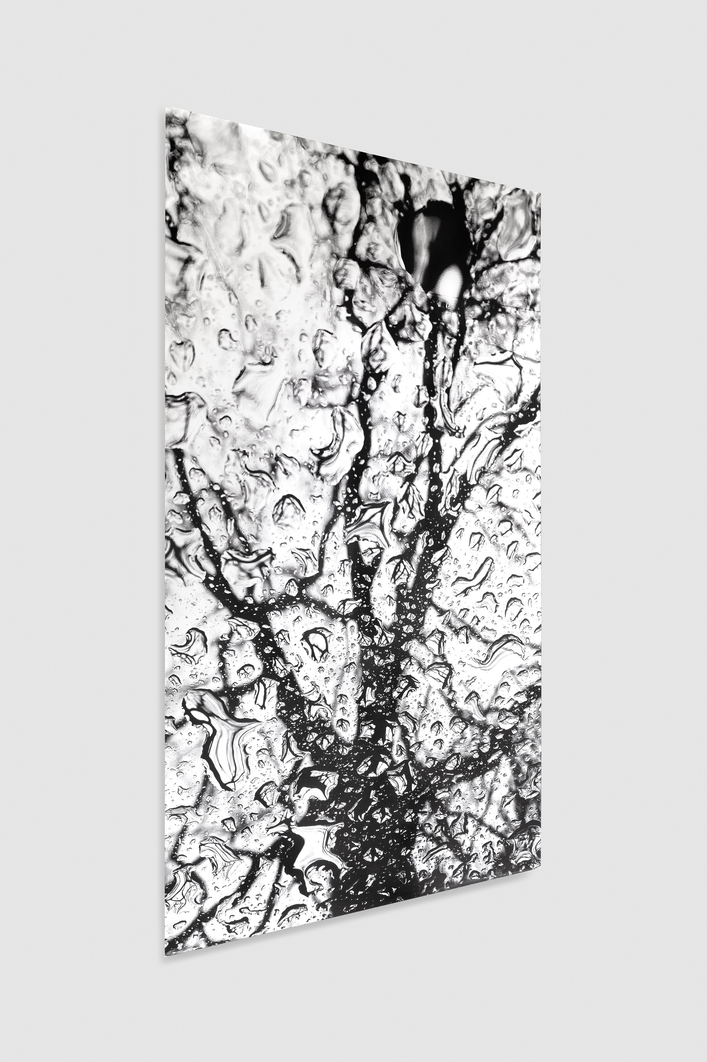 Olu Ogunnaike, Is the soil right? at Rose Easton, photo 79