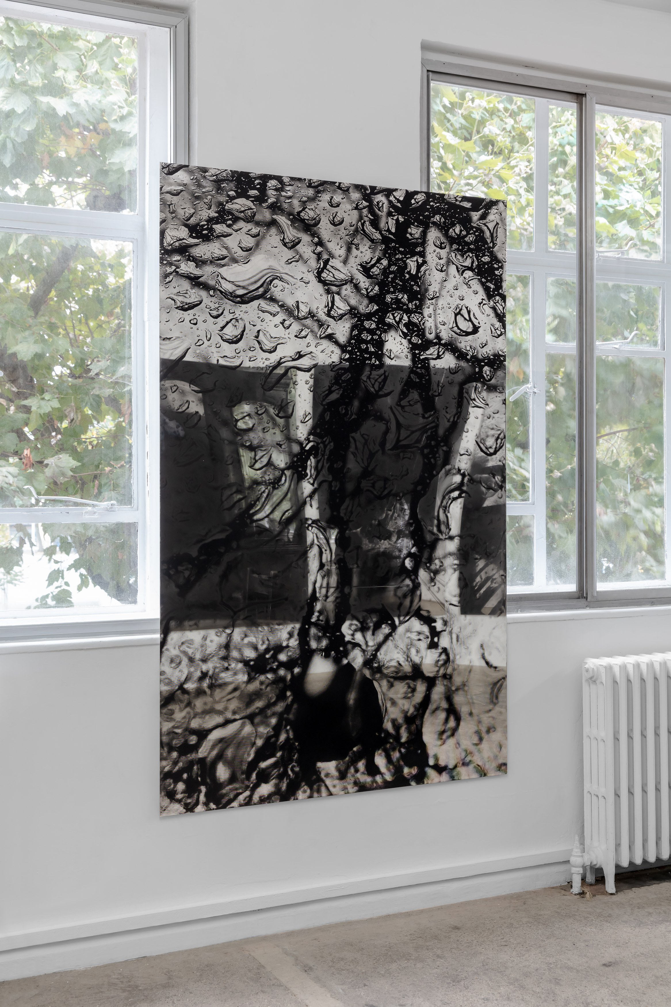 Olu Ogunnaike, Is the soil right? at Rose Easton, photo 92