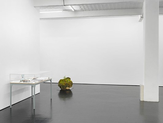 Image 6 of 22