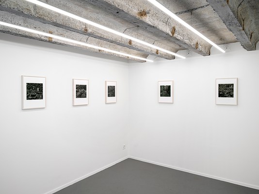 Image 11 of 12