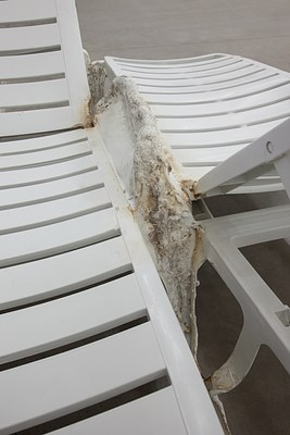 Image 28 of 29