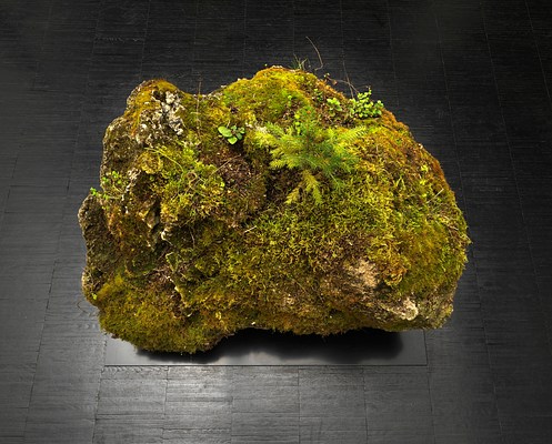Image 13 of 22