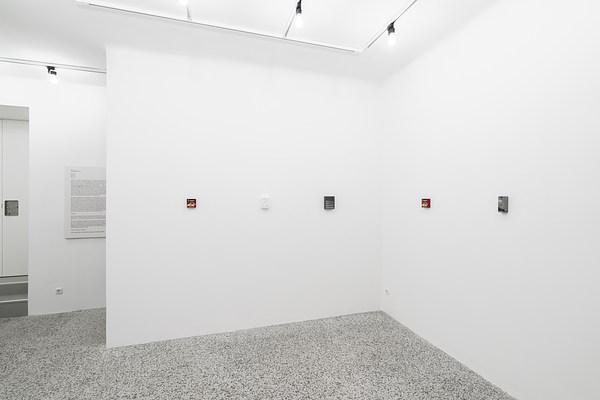 Image 4 of 19