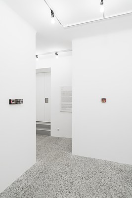 Image 8 of 19