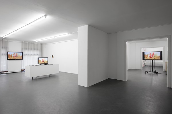 Image 1 of 19