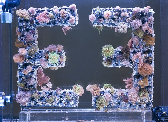 Image 15 of 27