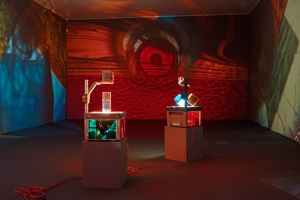 Image 4 of 11
