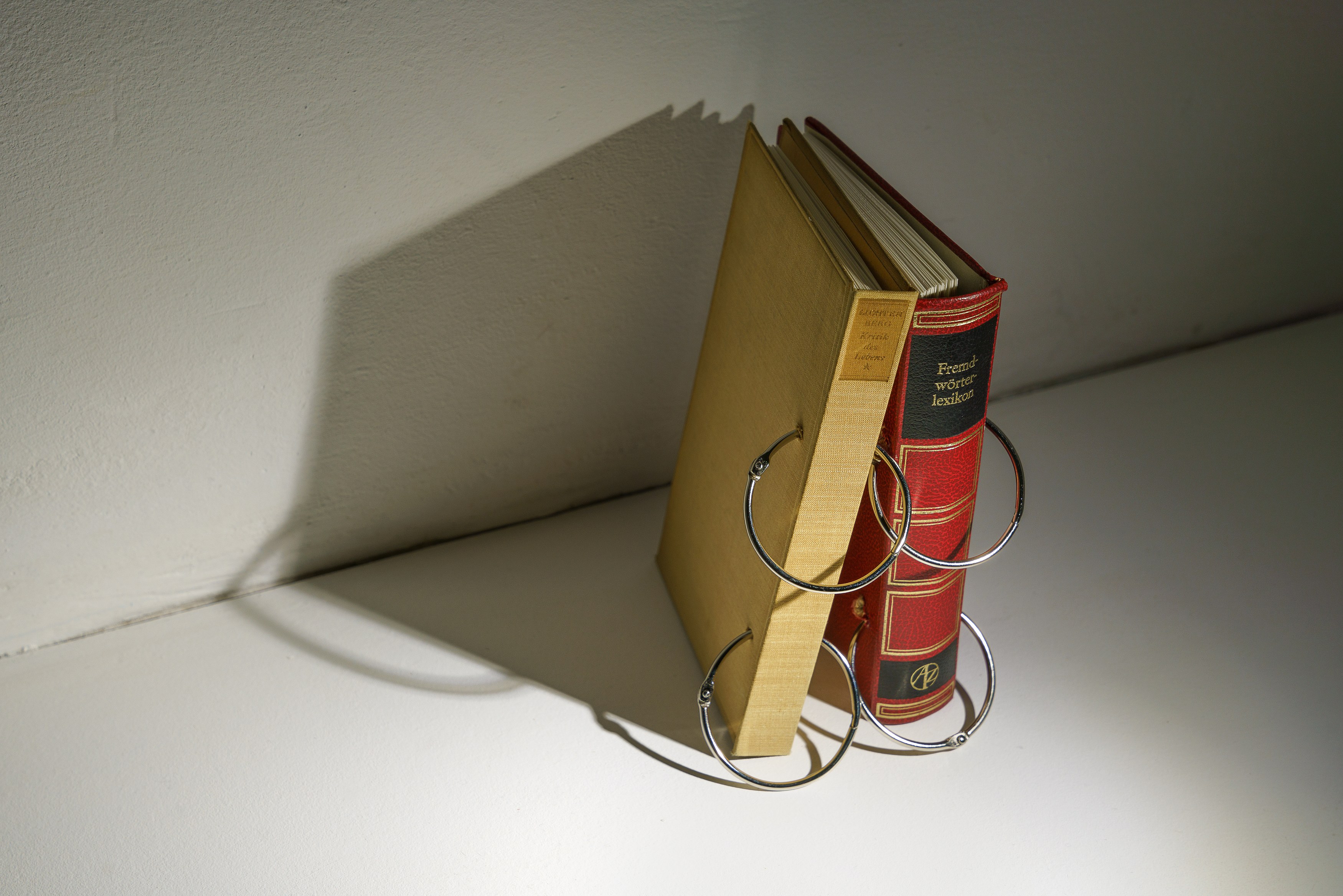 The Houses Of The Serpent Bearer. The 3rd House, The Houses Of The Serpent Bearer. The 3rd House at Galerie Noah Klink, photo 9