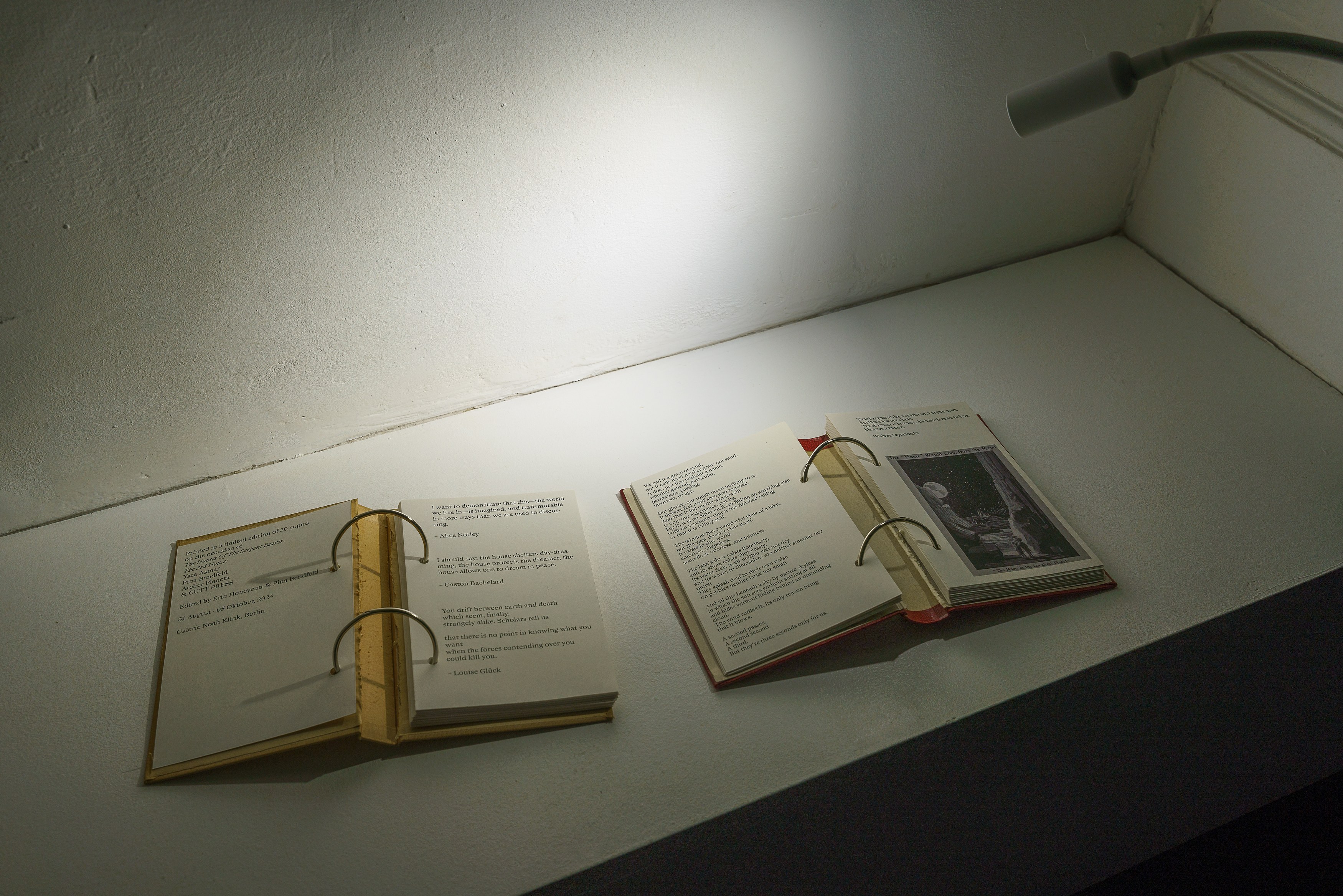 The Houses Of The Serpent Bearer. The 3rd House, The Houses Of The Serpent Bearer. The 3rd House at Galerie Noah Klink, photo 10