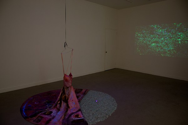 Image 1 of 42