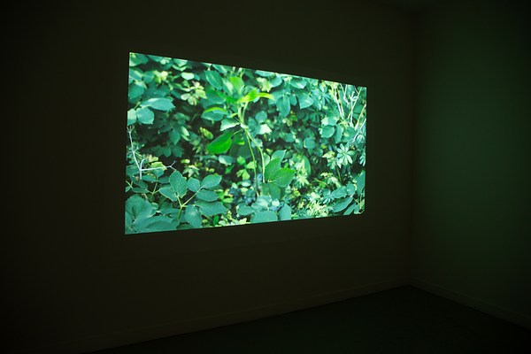 Image 4 of 42