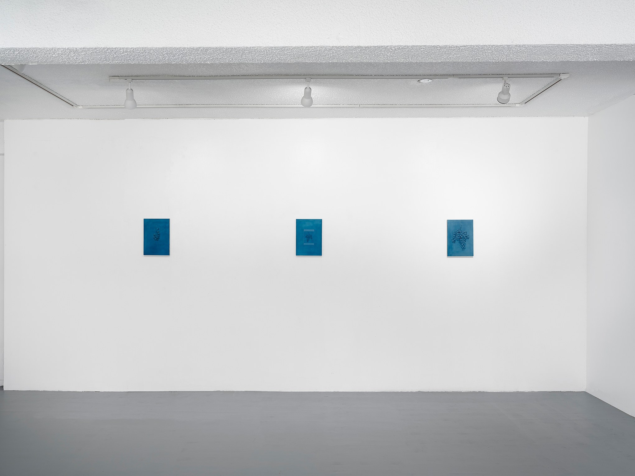 Daryl Bergman, image 3 of 13