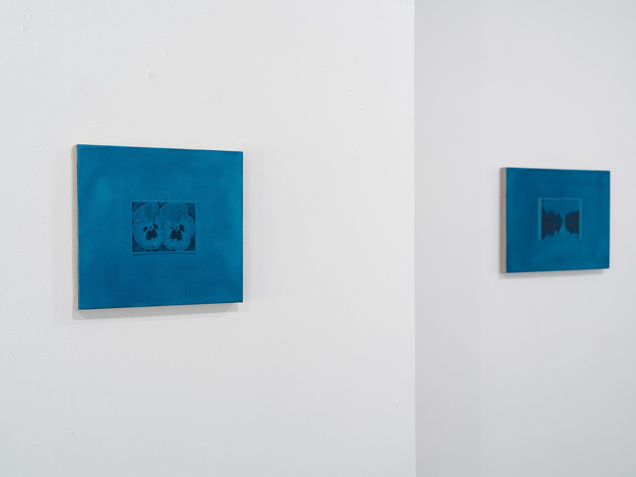 Daryl Bergman, image 4 of 13
