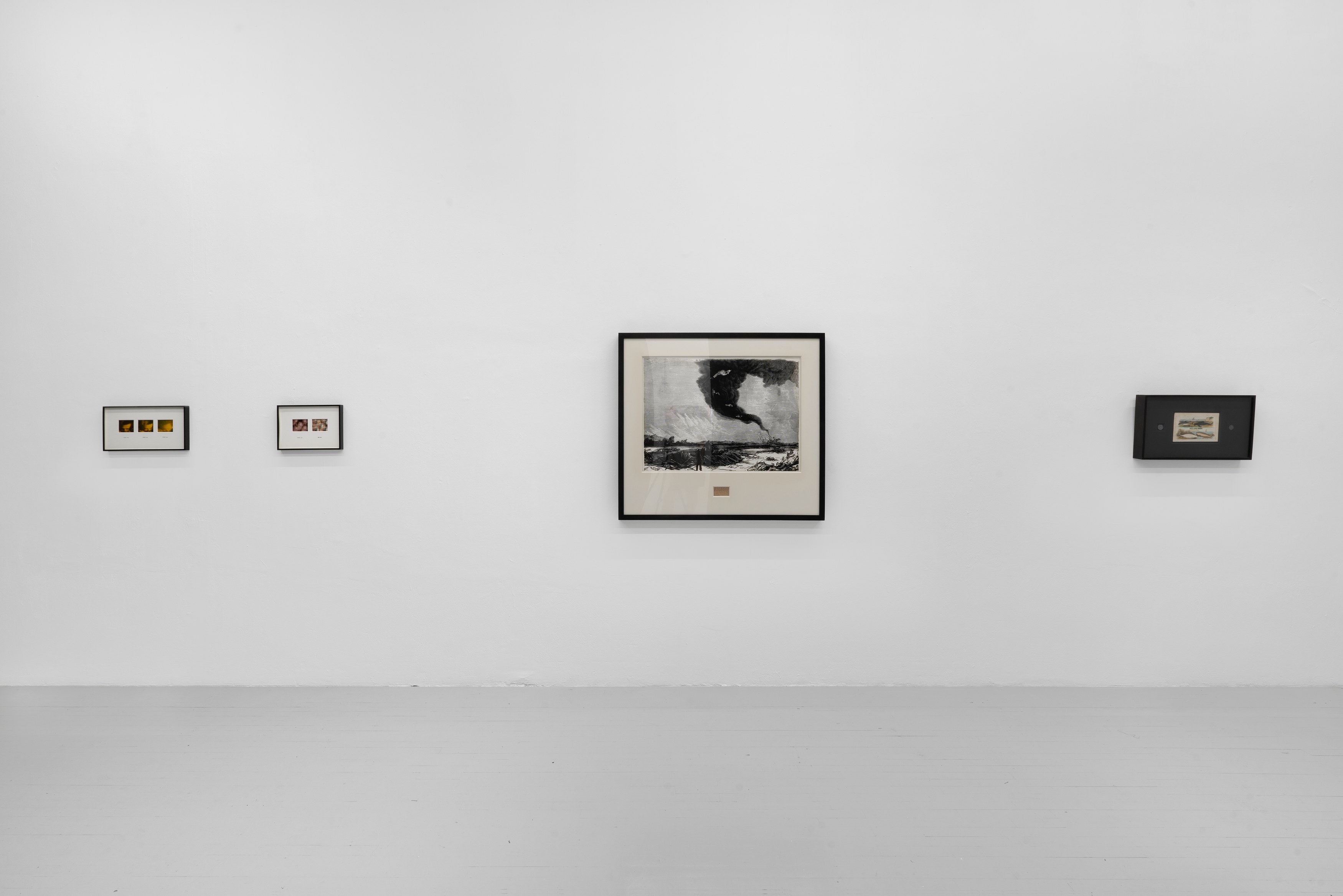 John Boskovich, I Appreciate My Uniqueness at Scherben, photo 3
