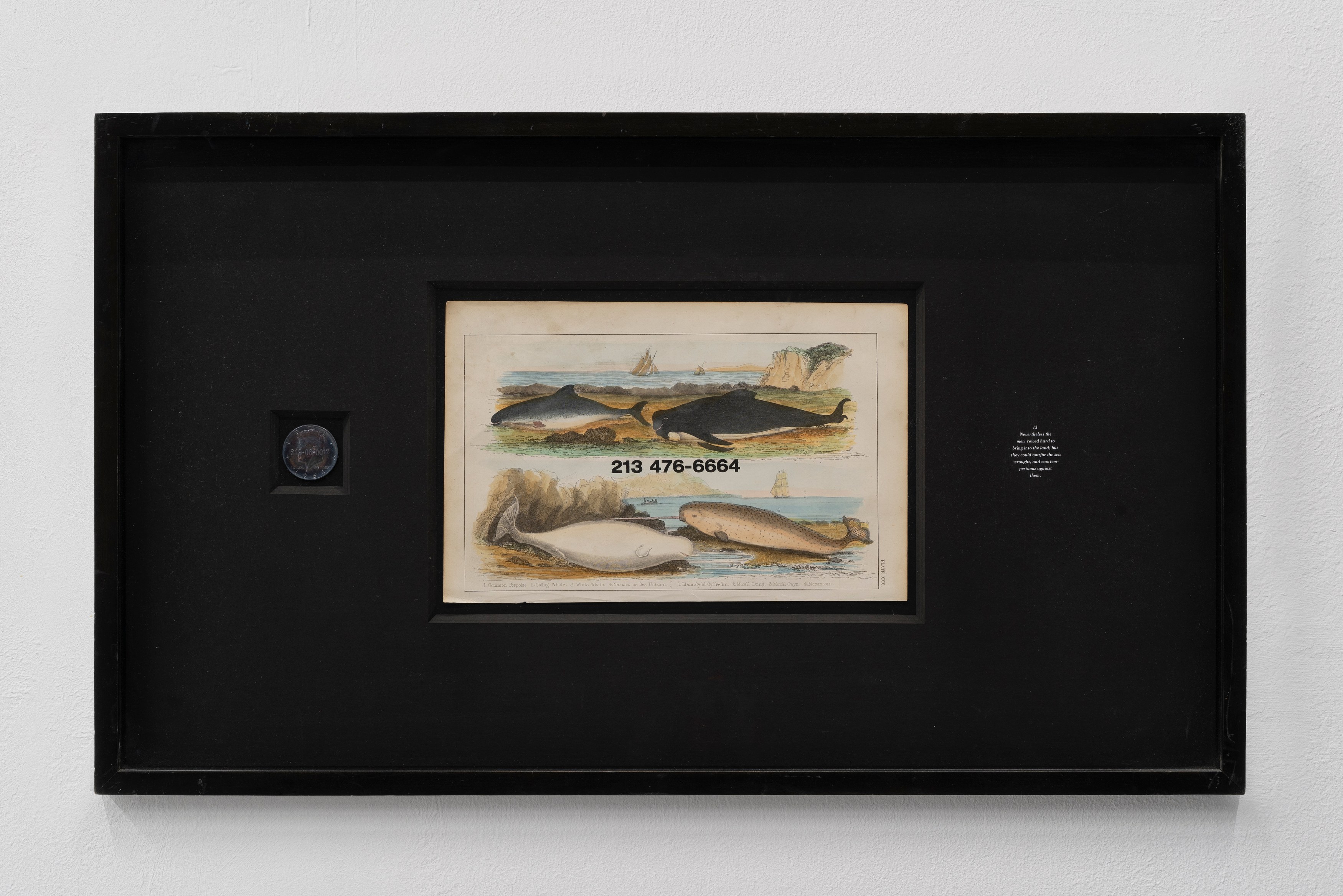 John Boskovich, I Appreciate My Uniqueness at Scherben, photo 12