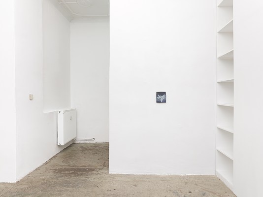 Image 11 of 31