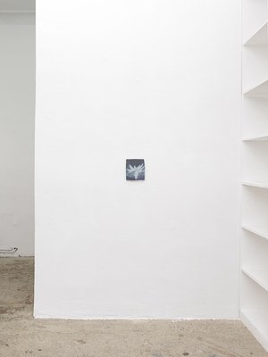 Image 12 of 31