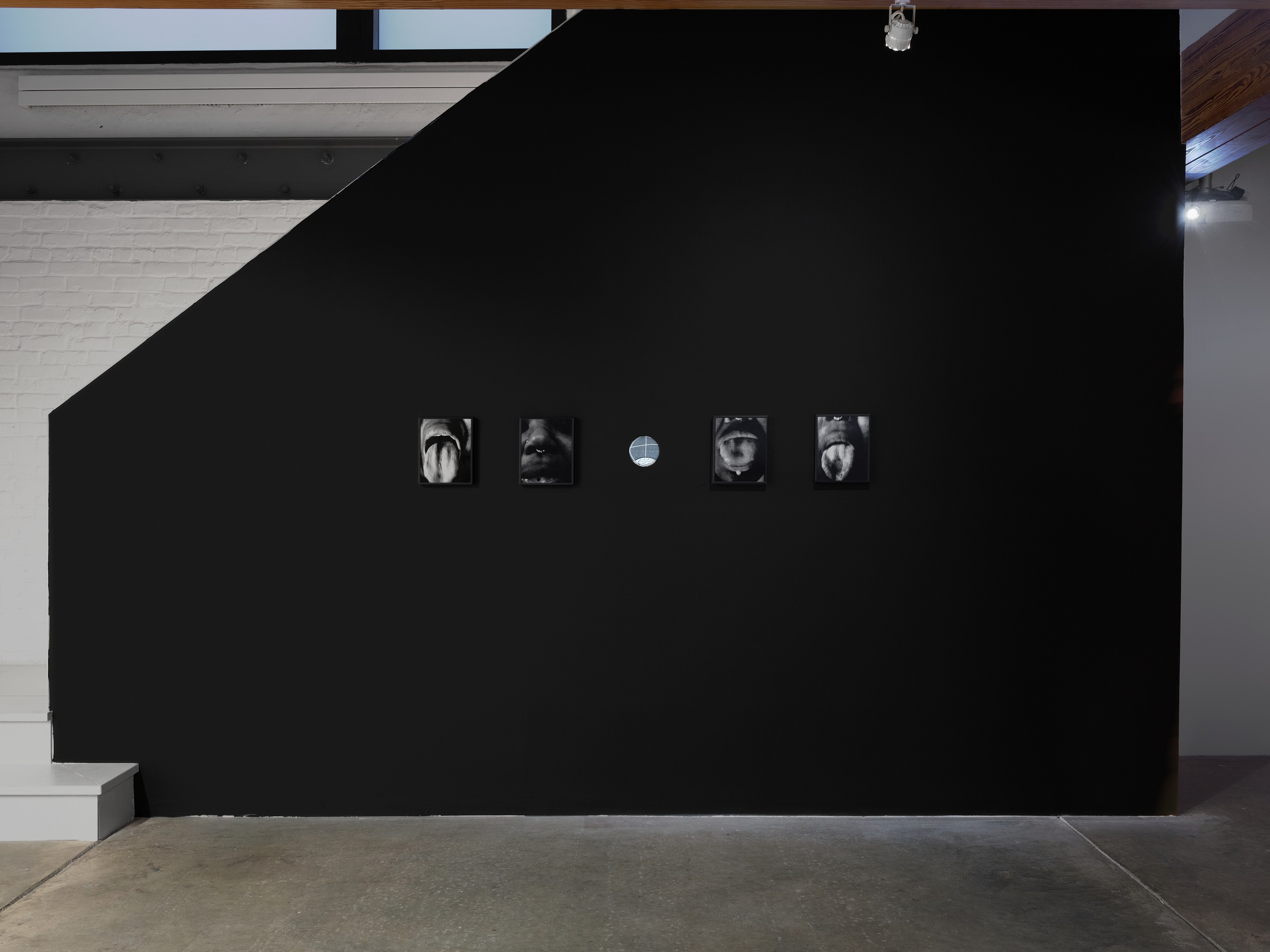 Kameelah Janan Rasheed, beneath this sentence is a hole* and your words are leaking. i place my mouth at the puncture site, waiting to be engorged by your lactating punctuation at anonymous gallery, photo 3