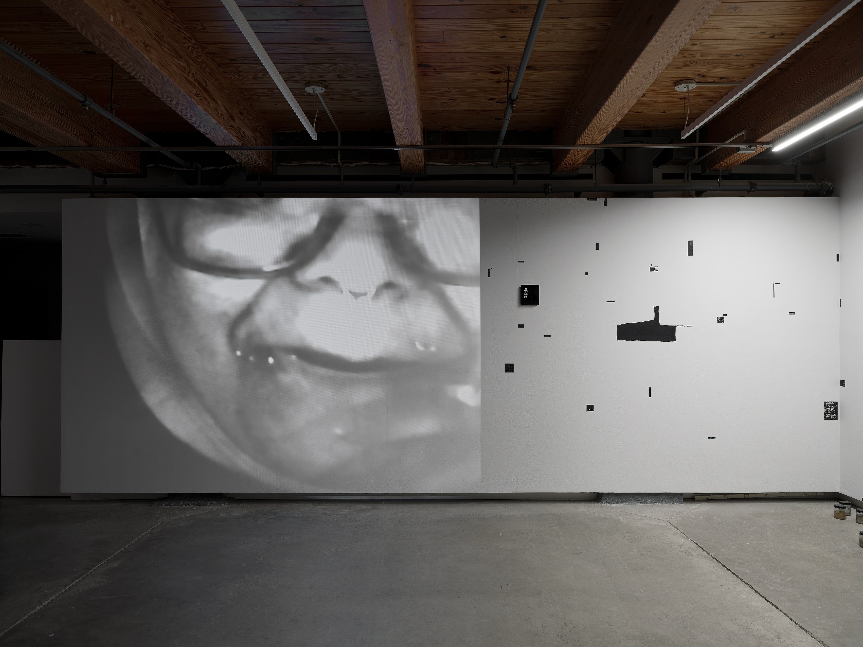 Kameelah Janan Rasheed, beneath this sentence is a hole* and your words are leaking. i place my mouth at the puncture site, waiting to be engorged by your lactating punctuation at anonymous gallery, photo 4