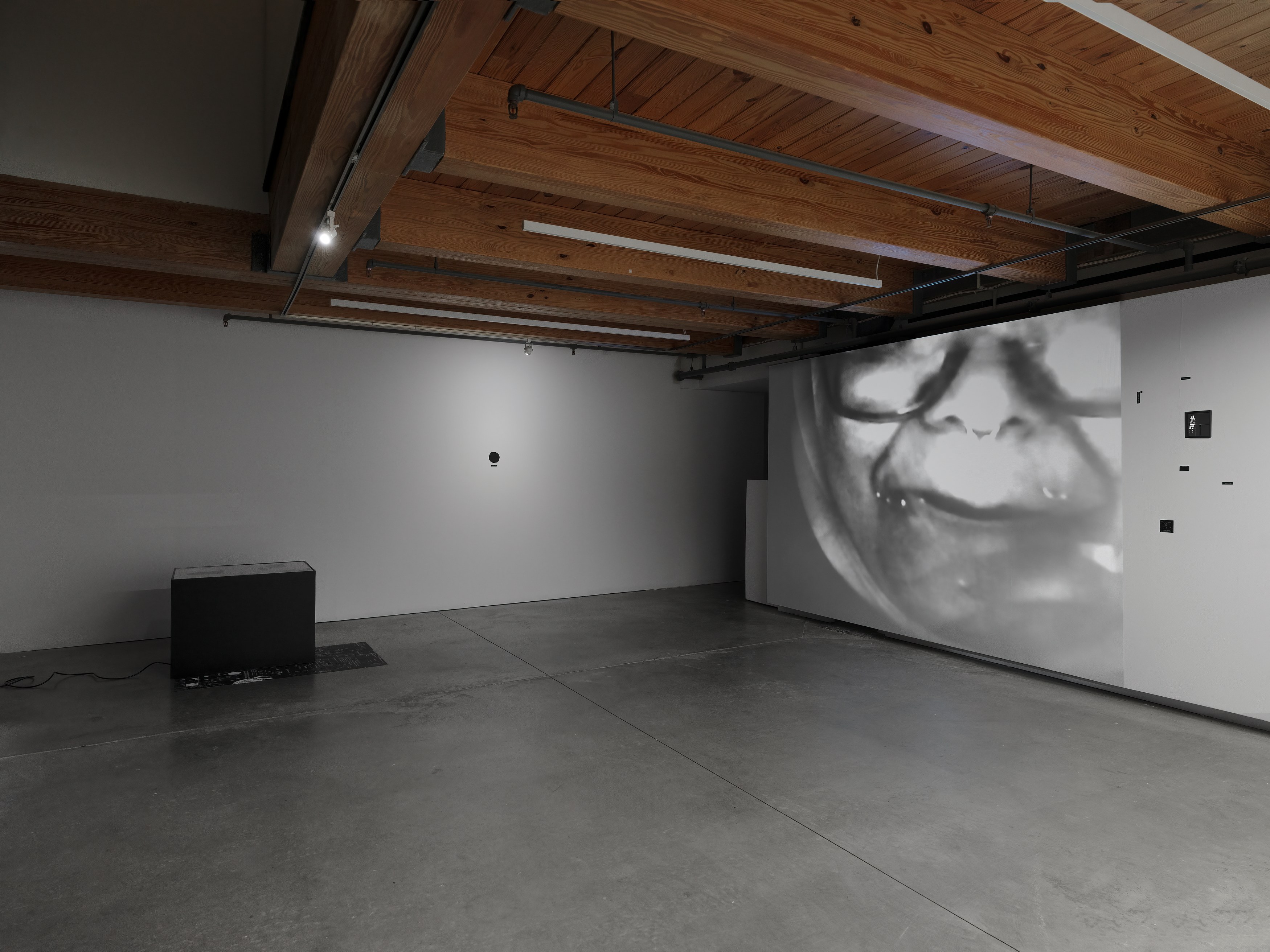 Kameelah Janan Rasheed, beneath this sentence is a hole* and your words are leaking. i place my mouth at the puncture site, waiting to be engorged by your lactating punctuation at anonymous gallery, photo 11