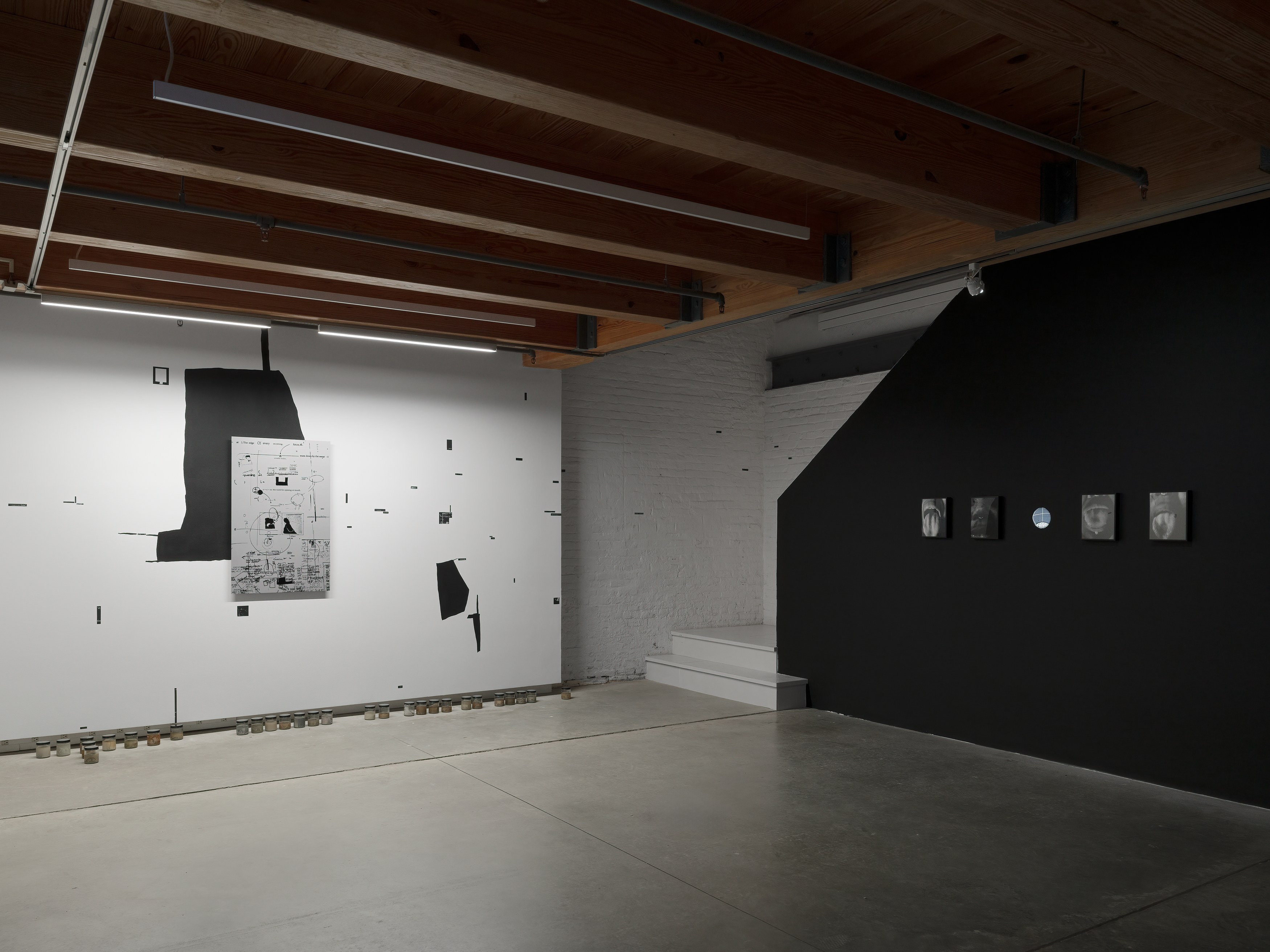 Kameelah Janan Rasheed, beneath this sentence is a hole* and your words are leaking. i place my mouth at the puncture site, waiting to be engorged by your lactating punctuation at anonymous gallery, photo 10