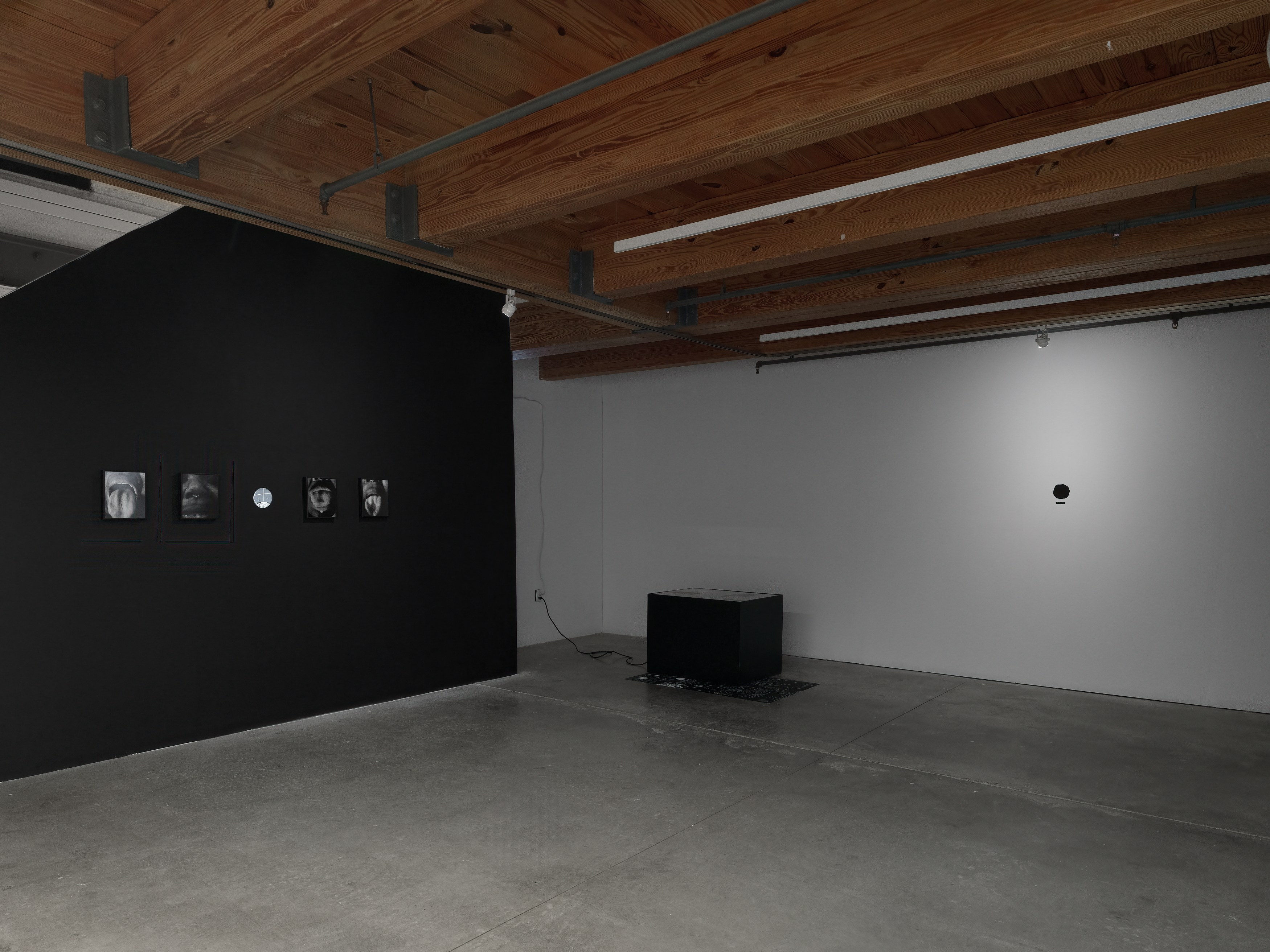 Kameelah Janan Rasheed, beneath this sentence is a hole* and your words are leaking. i place my mouth at the puncture site, waiting to be engorged by your lactating punctuation at anonymous gallery, photo 13