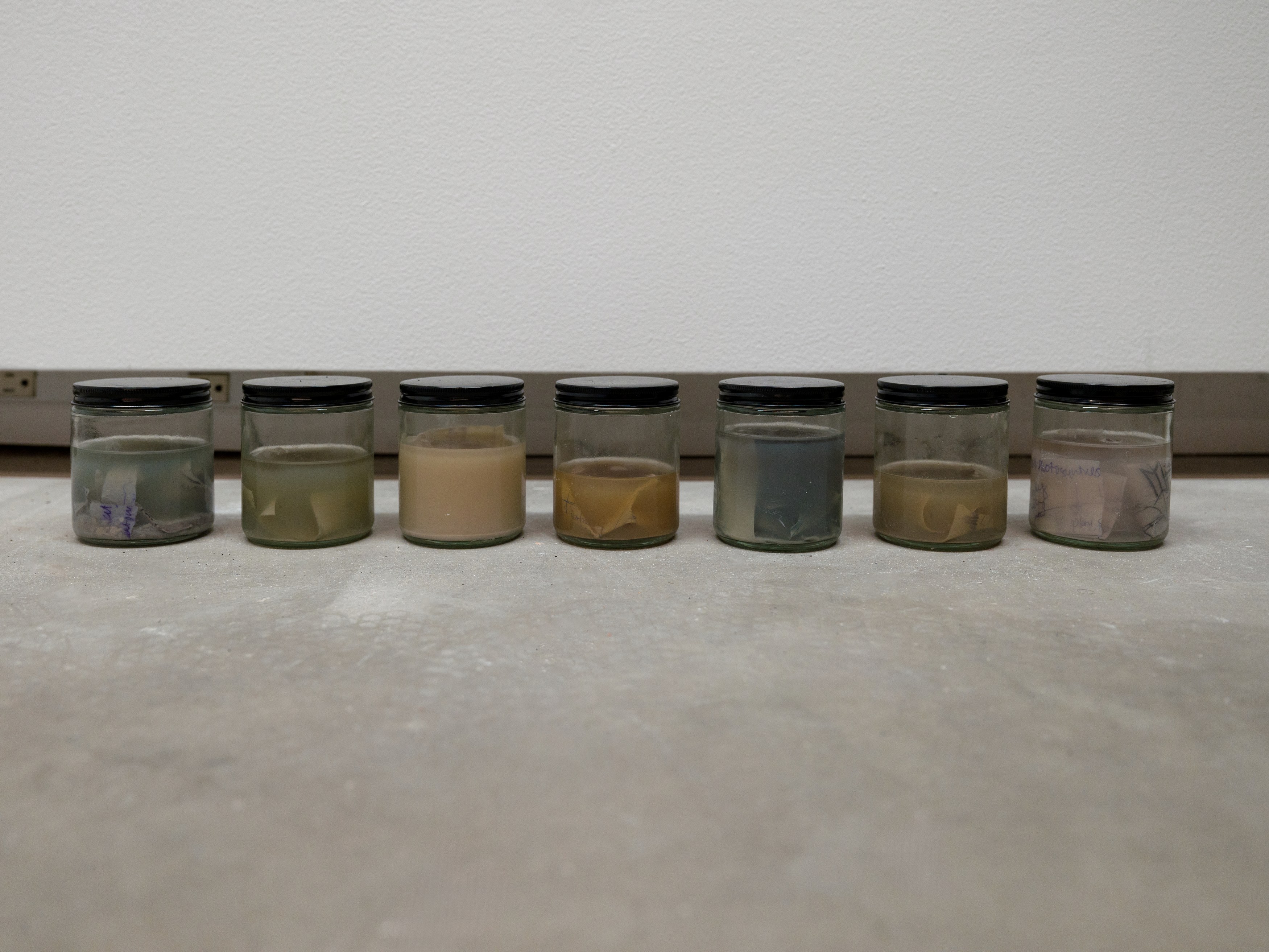 Kameelah Janan Rasheed, beneath this sentence is a hole* and your words are leaking. i place my mouth at the puncture site, waiting to be engorged by your lactating punctuation at anonymous gallery, photo 17