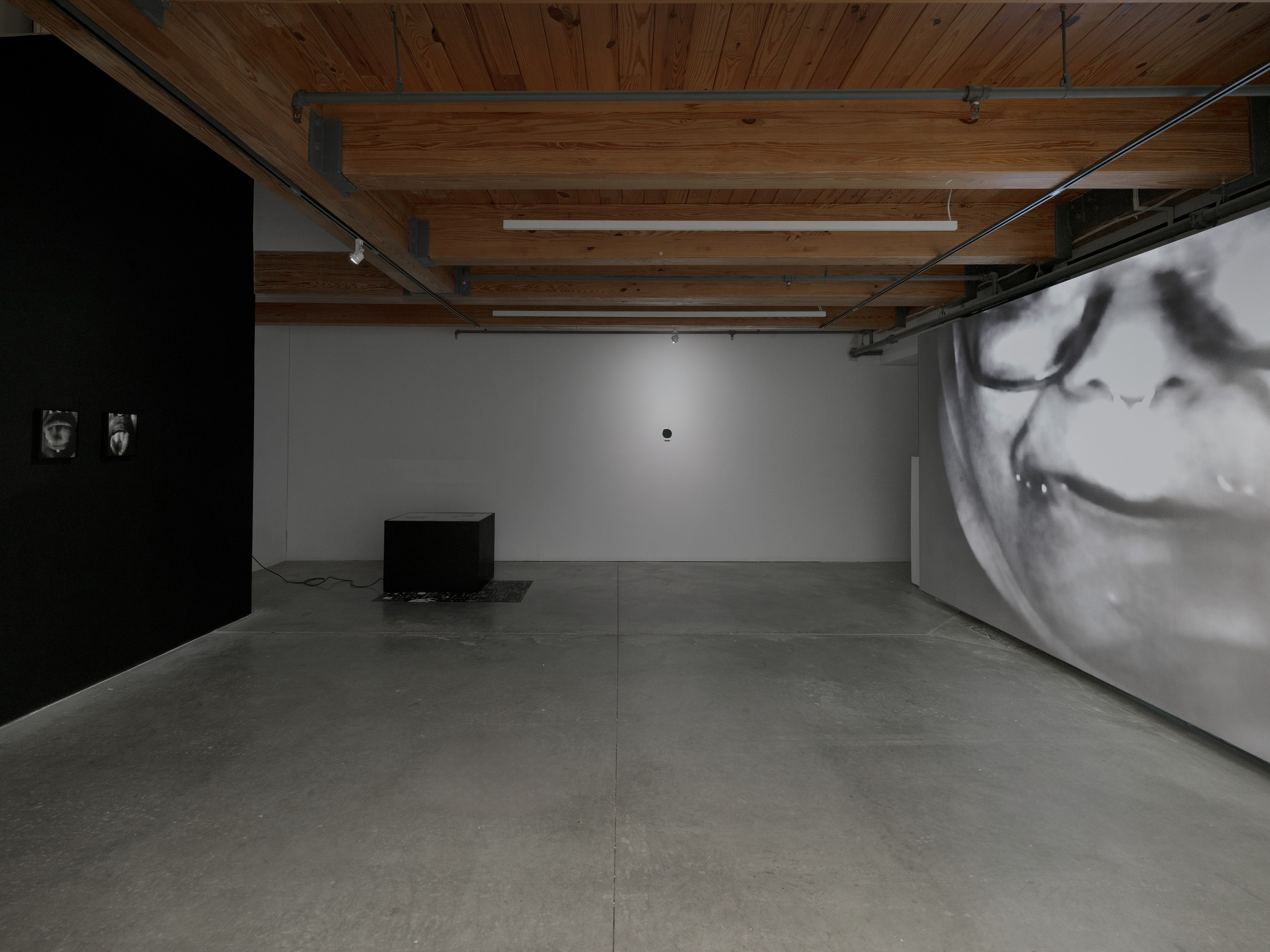 Kameelah Janan Rasheed, beneath this sentence is a hole* and your words are leaking. i place my mouth at the puncture site, waiting to be engorged by your lactating punctuation at anonymous gallery, photo 12