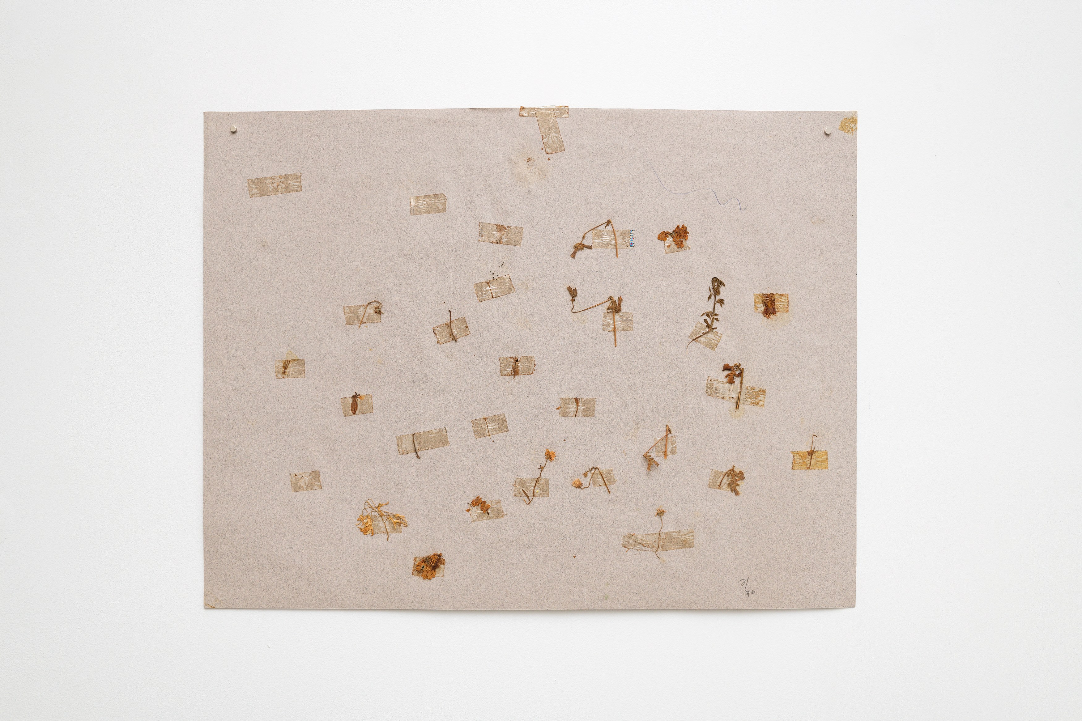 joie, joie at Marcelle Alix, photo 16