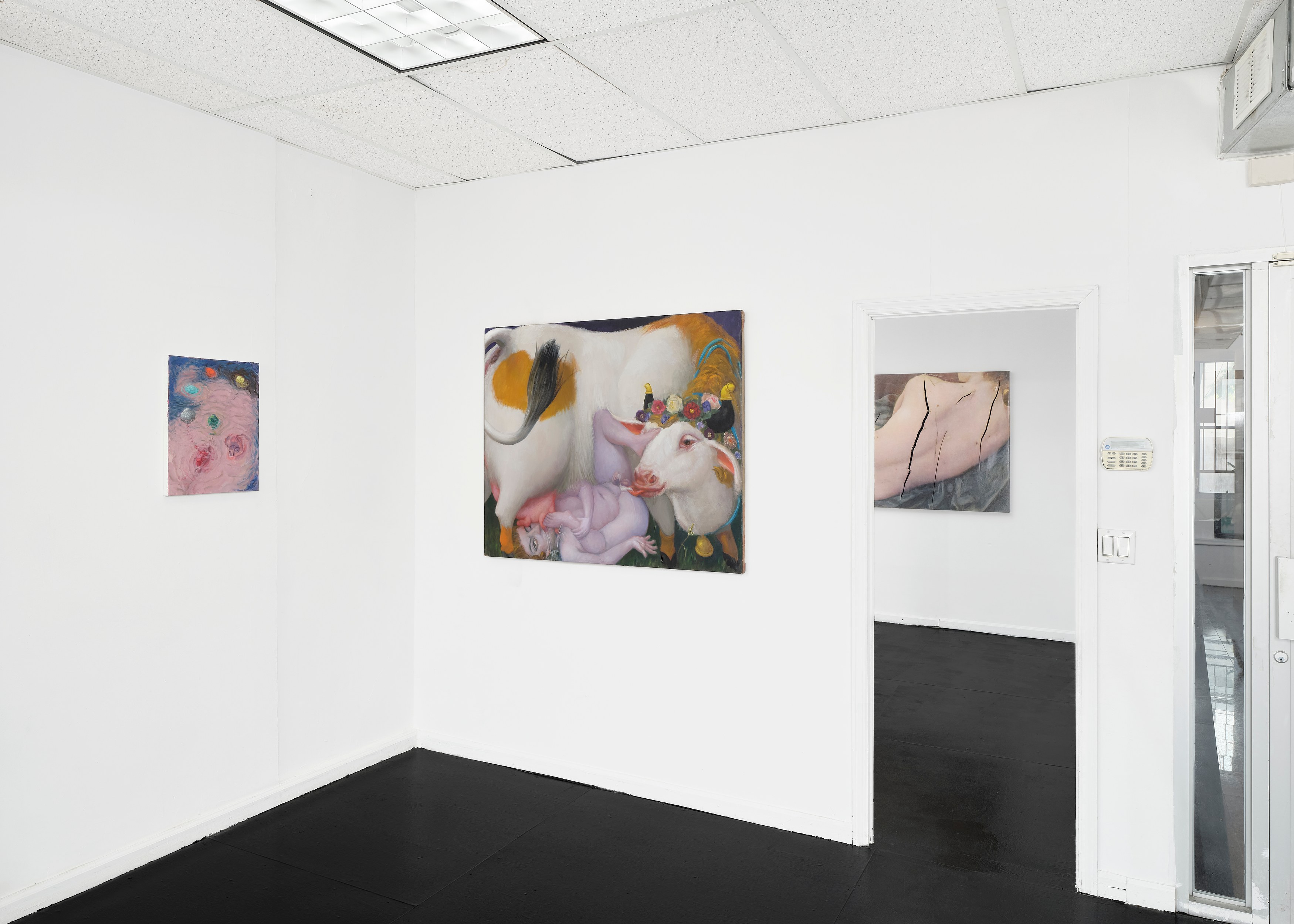 Dennis Kardon, Transgressions at Lubov, photo 13