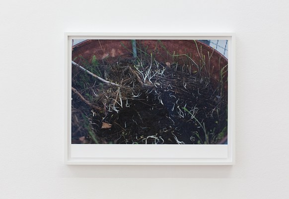 Image 11 of 20
