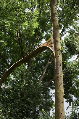 Image 19 of 20
